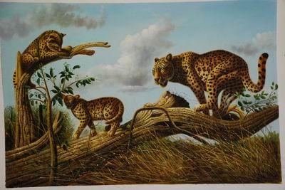 unknow artist Lions 030 Germany oil painting art